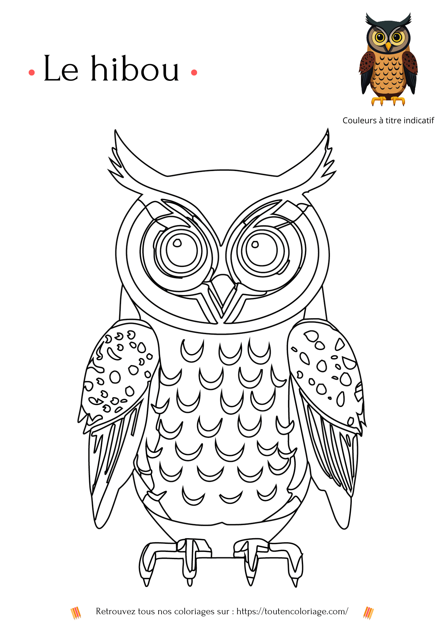 coloriage à imprimer d'un magnifique Hibou à retrouver dans notre livre sur les animaux de la forêt.
