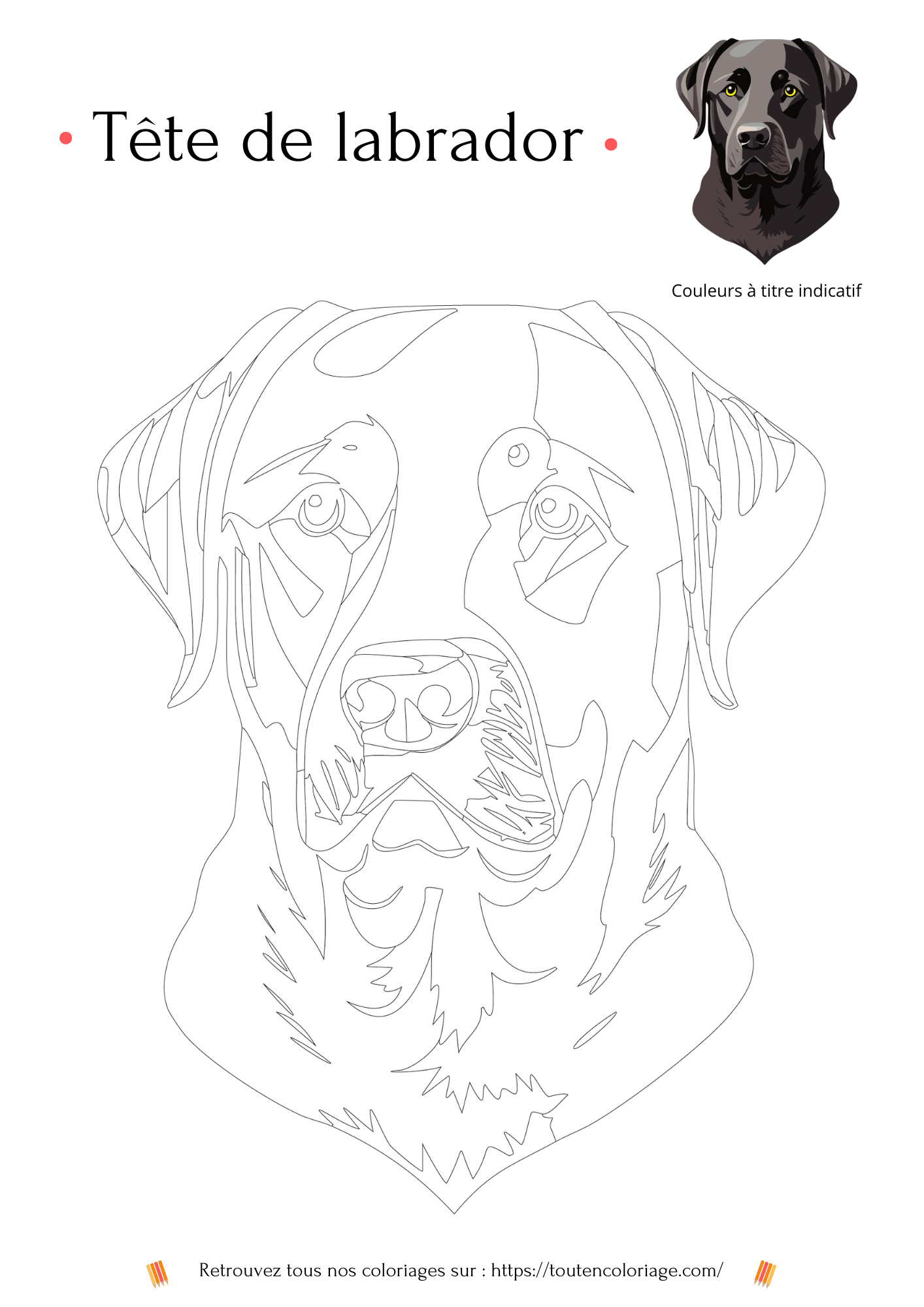 Coloriage a imprimer d'une magnifique tete de Labrador de couleur noire pour enfants et adultes.