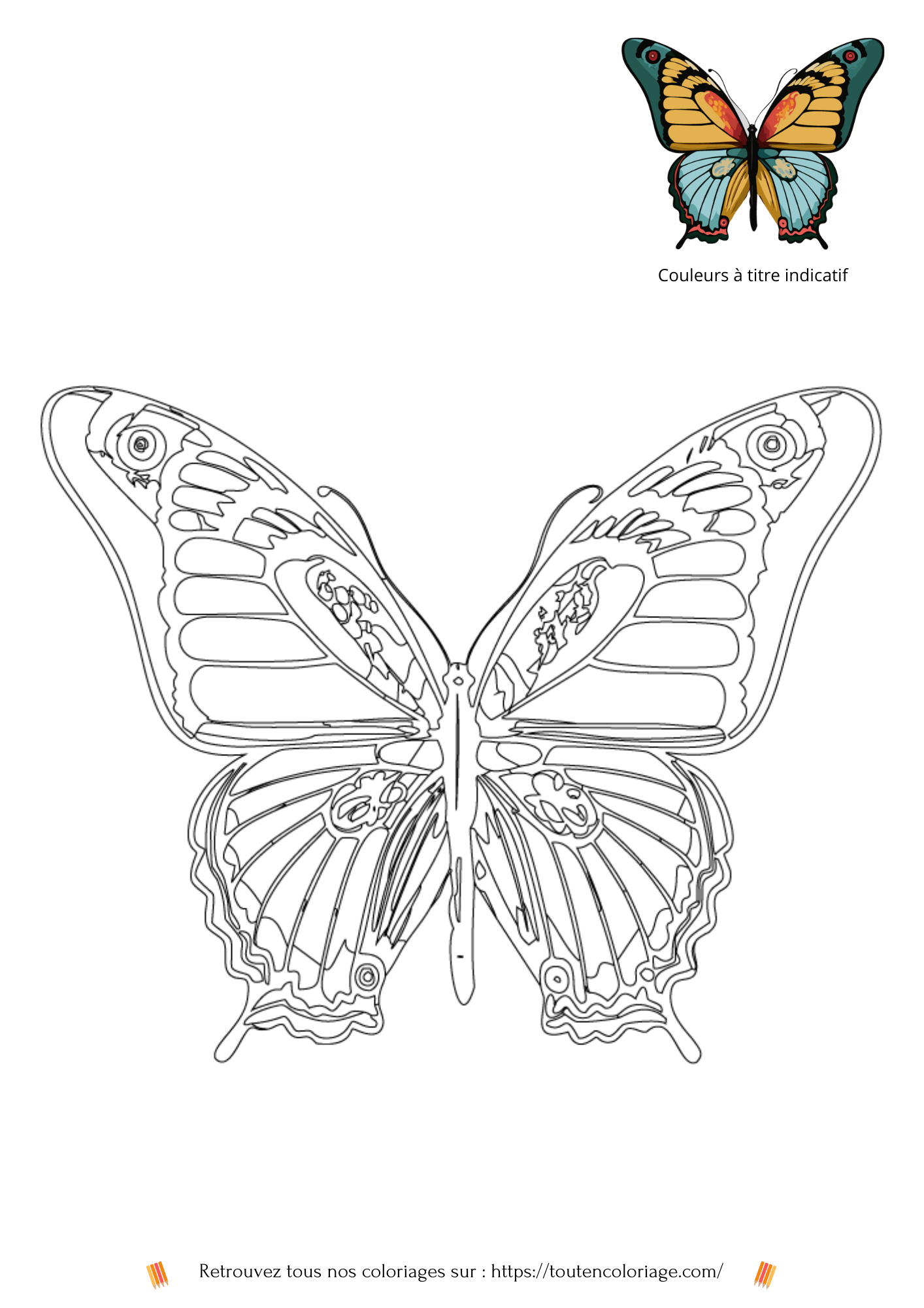 Coloriage a imprimer d'un magnifique papillon aux ailes jaunes et vertes a retrouver dans notre livre sur les papillons.