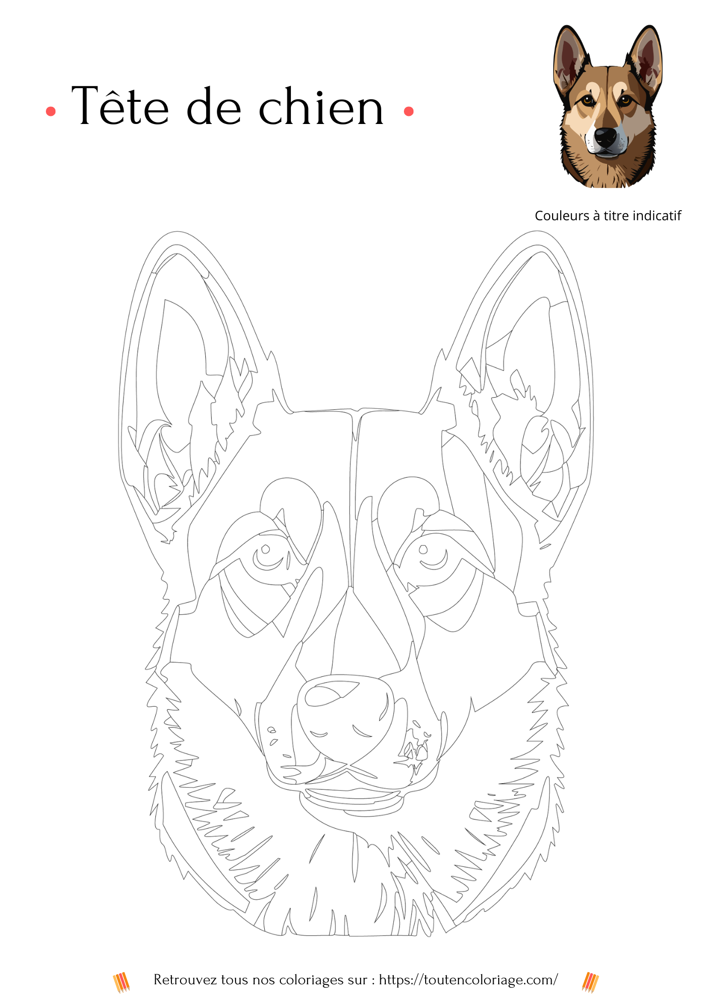 Coloriage à télécharger et imprimer d'une splendide tête de Berger Allemand avec un regard très doux et de grandes oreilles.