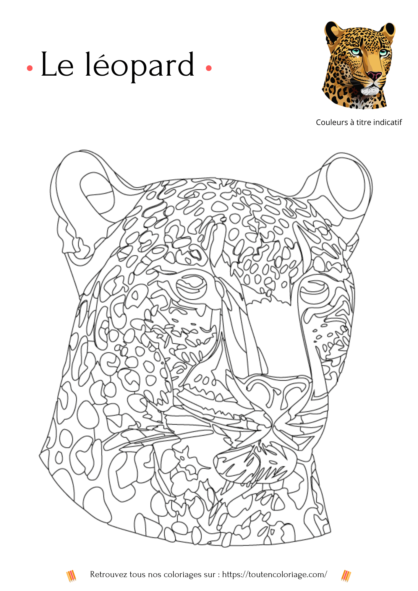 Dessin a colorier d'un superbe Léopard noir et jaune issu de notre livre sur les animaux de la savane