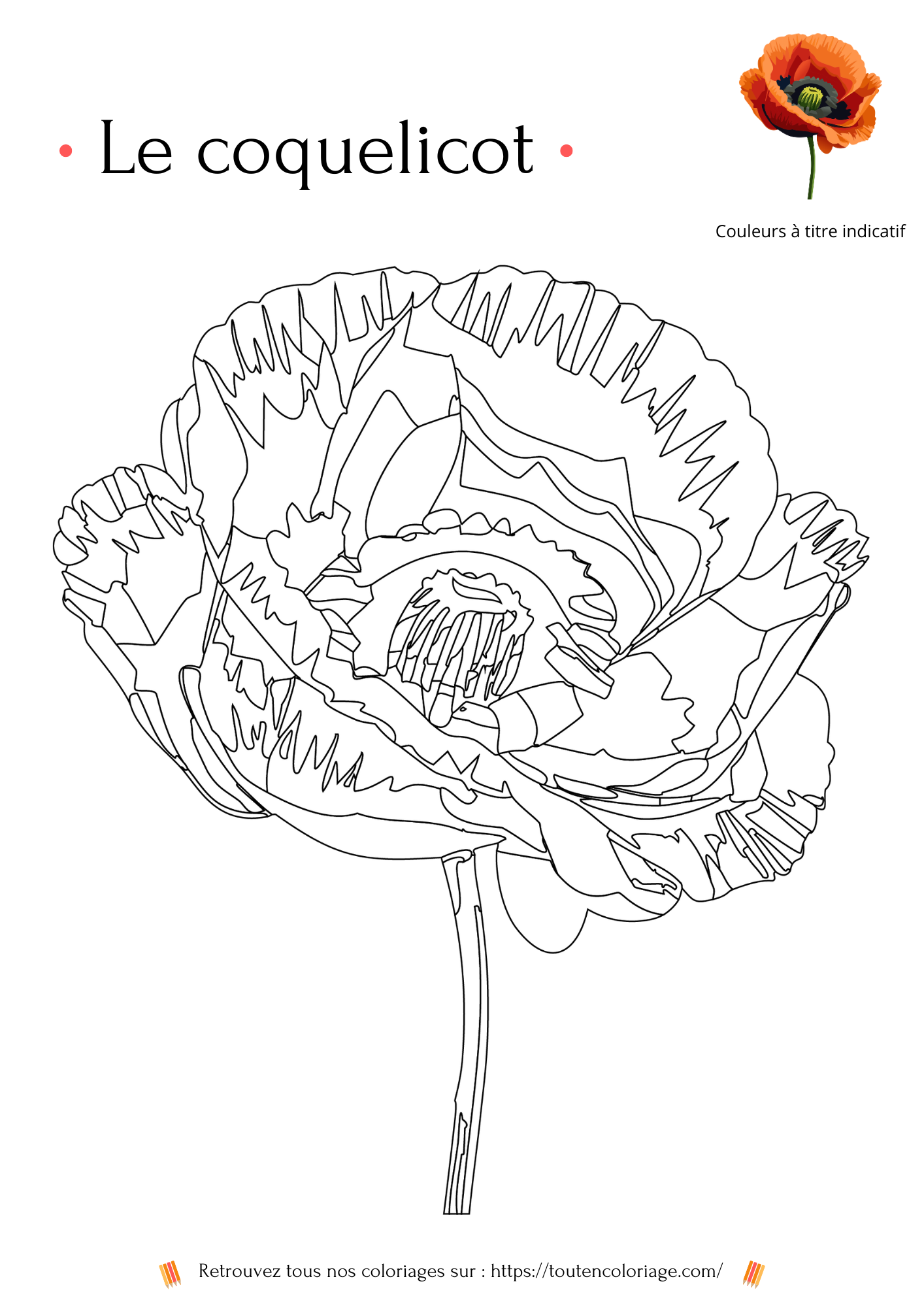Dessin a colorier et a imprimer d'un magnifique coquelicot gratuit pour enfants et adultes débutants.