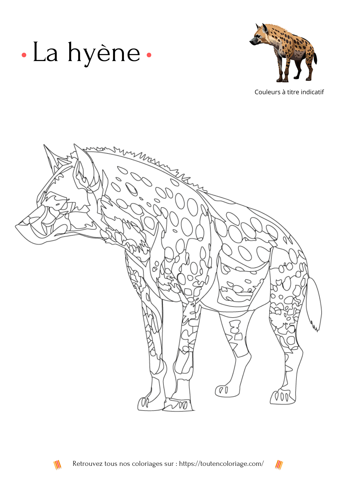 Coloriage à imprimer en PDF d'un Hyène à retrouver dans notre livre sur les animaux de la savane.