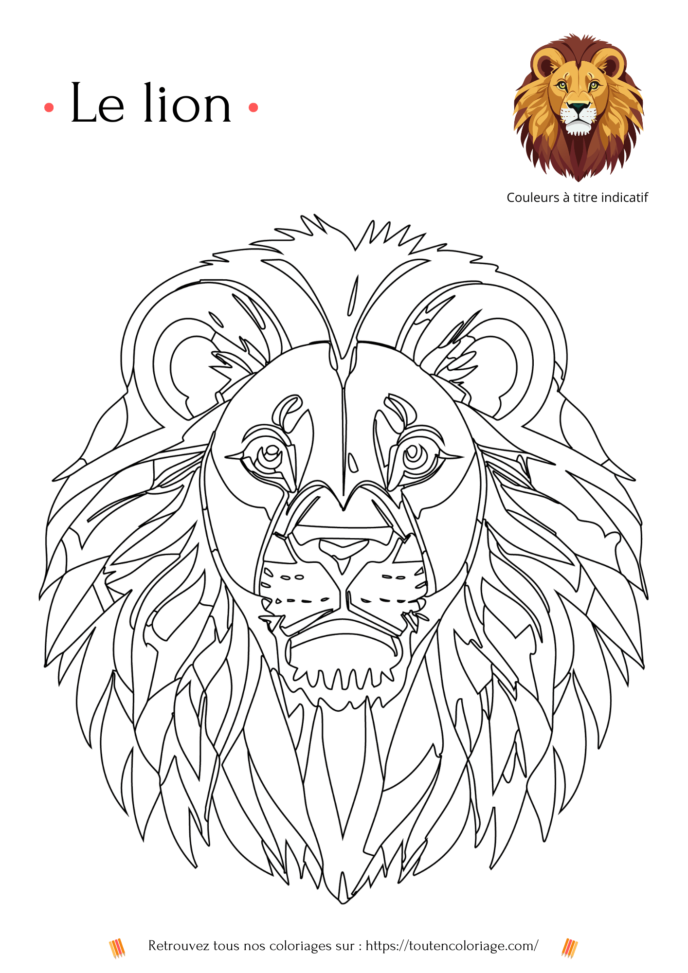 Dessin a colorier d'un Lion majestueux avec coloriage sa superbe crinière de couleur fauve.