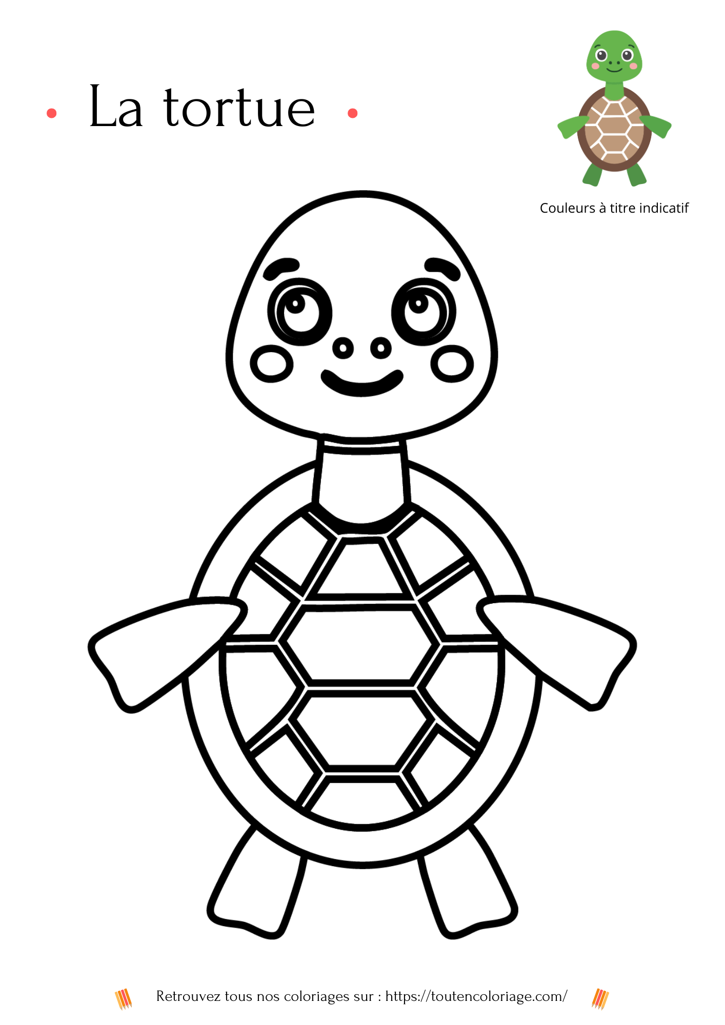 Dessin a colorier pour enfants d'une tortue verte avec une carapace ornée de motifs dorés.