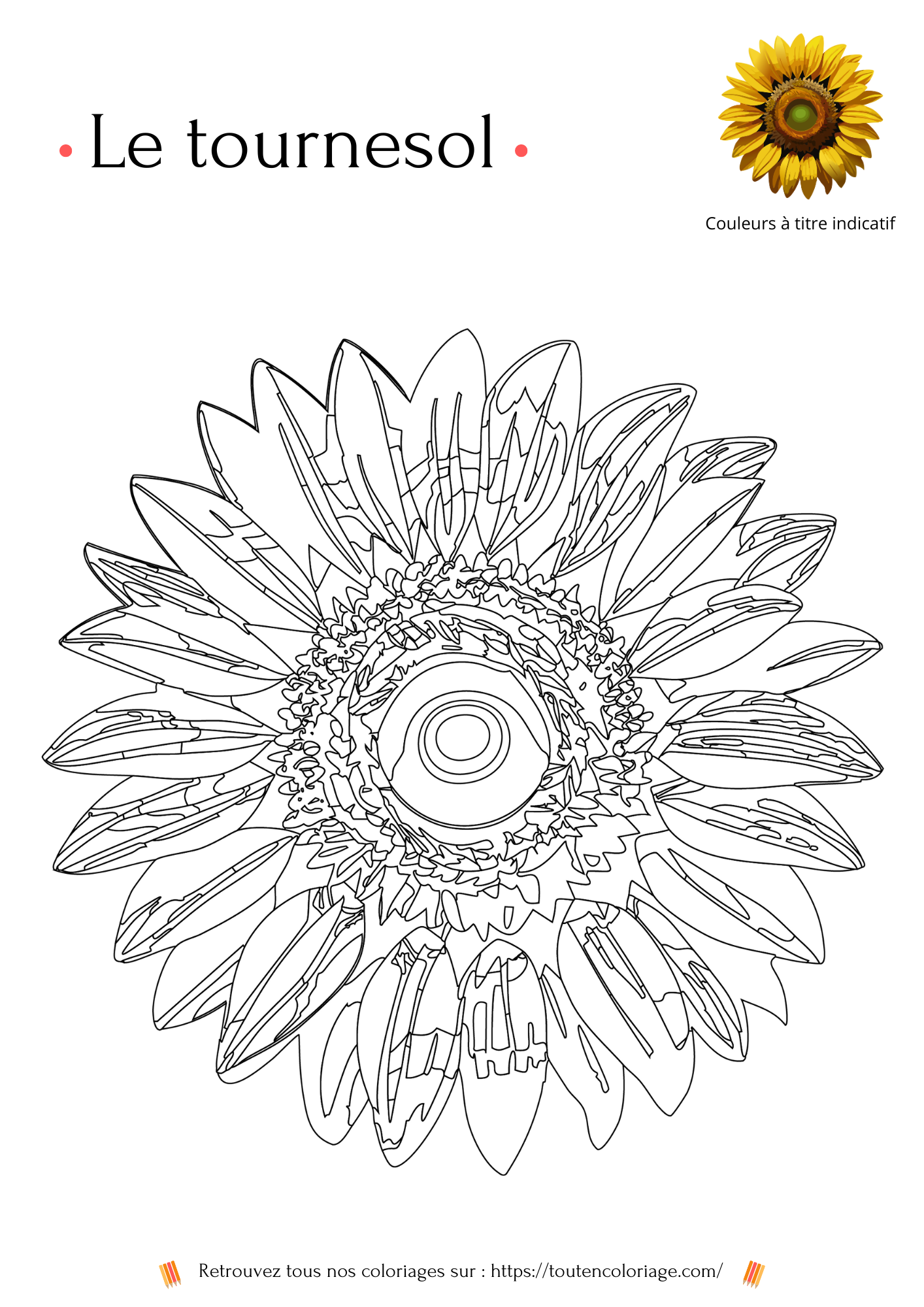 Dessin à colorier et a imprimer d'un tournesol conçu pour les enfants et les adultes aimants les plantes et les fleurs.