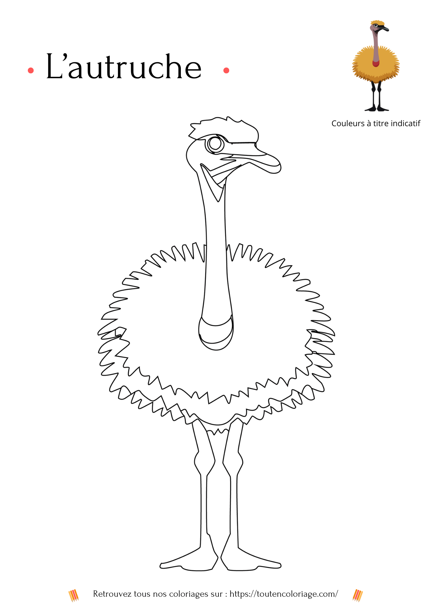 Coloriage a imprimer d'une autruche au plumage jaune et aux pattes noires a retrouver dans notre livre sur les animaux de la savane