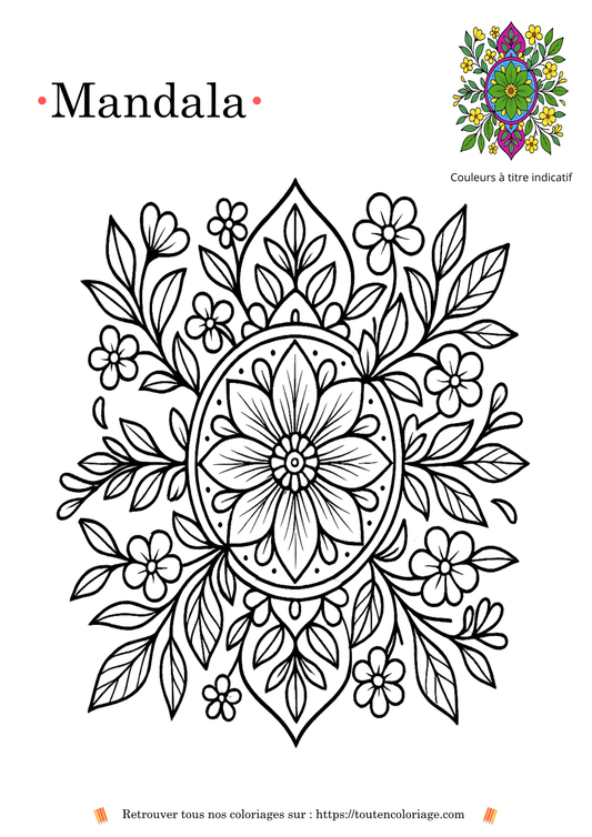 Dessin de coloriage en noir et blanc d'un mandala, composé de motifs géométriques floraux et symétriques.