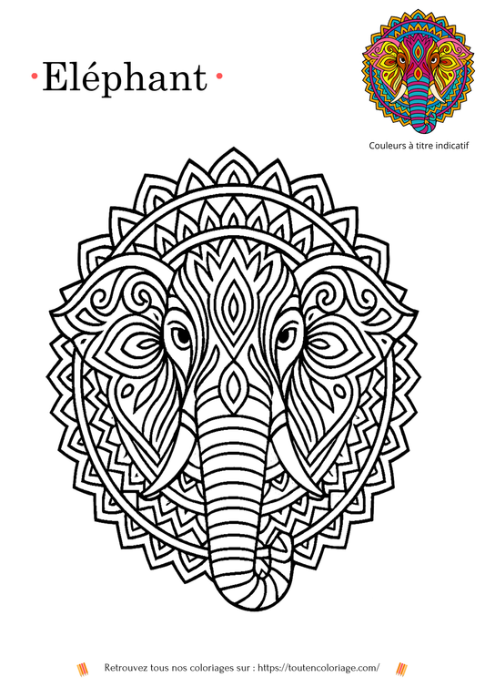 Dessin à colorier d'un mandala représentant une tête d'éléphant