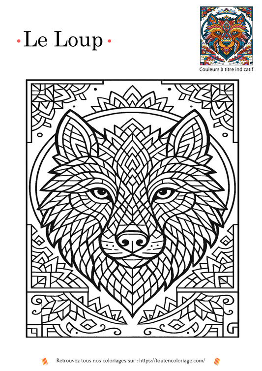Dessin à colorier d'un mandala magnifique mandala tête de loup pour enfants et adultes.