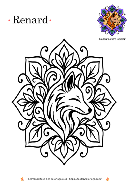 Dessin à colorier d'un renard style mandala dans un décor floral.