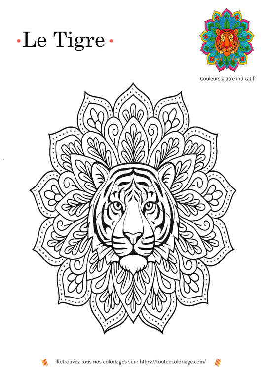 Dessin à colorier d’une tête de tigre mandala avec motifs géométriques