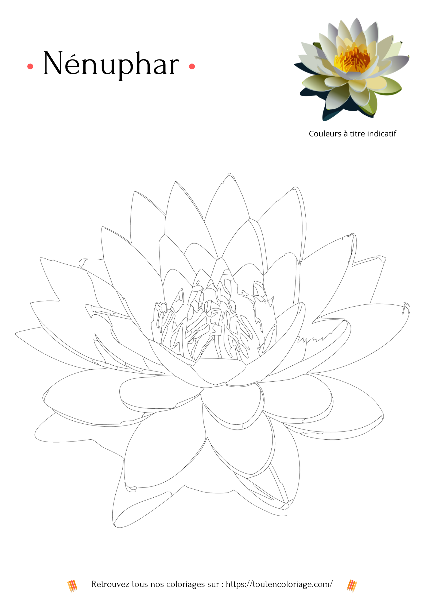 Coloriage à imprimer d'un magnifique Nénuphar blanc et au cœur jaune pour les petits et grands artistes