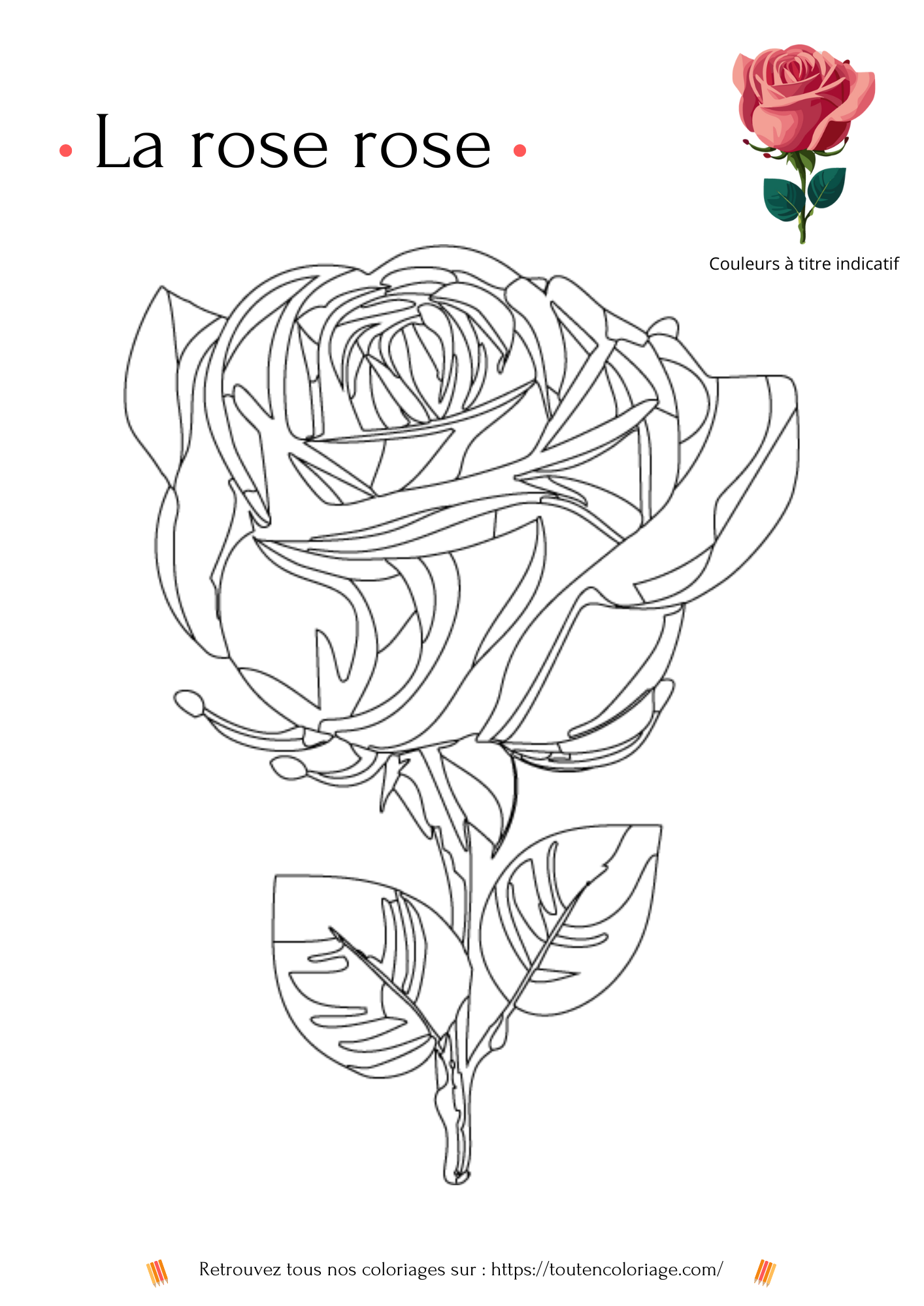 Dessin à colorier d'une magnifique rose avec une tige et des feuilles vertes pour enfants et adultes fans fleurs et de plantes.
