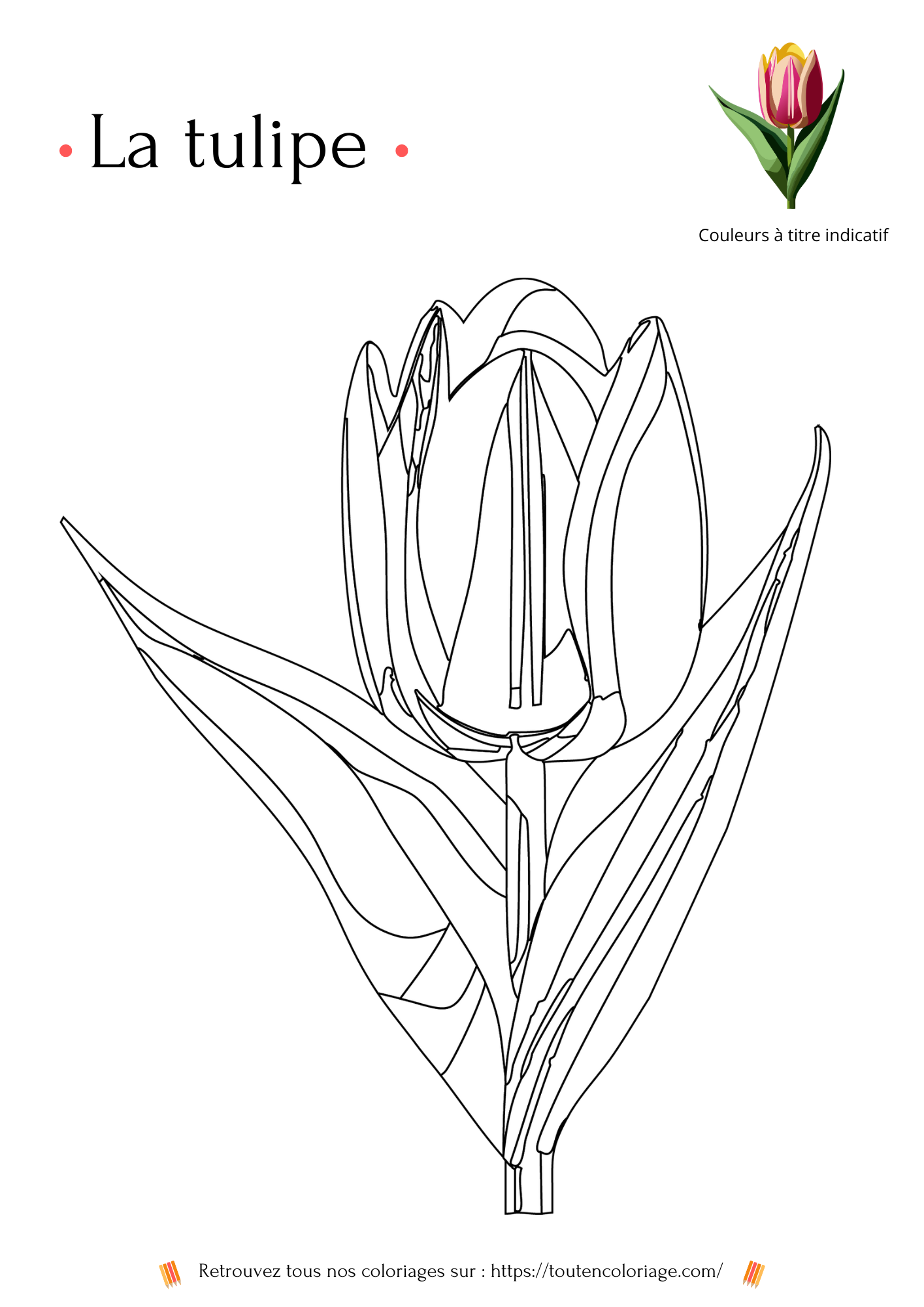 Coloriage de tulipe à imprimer pour les petits et les grands qui aiment la thématiques du monde floral