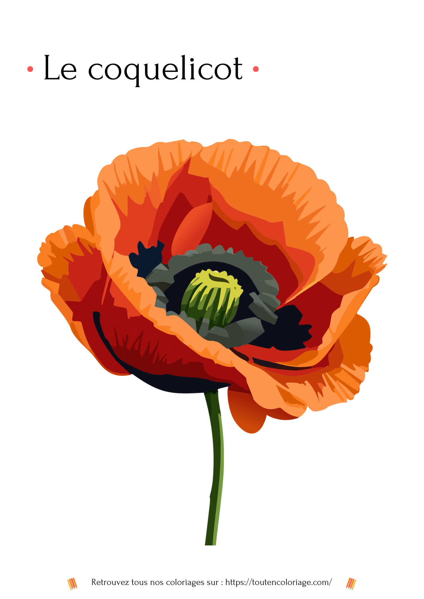 Coloriage a imprimer d'un magnifique Coquelicot rouge orange a retrouver dans notre livre sur les fleurs.