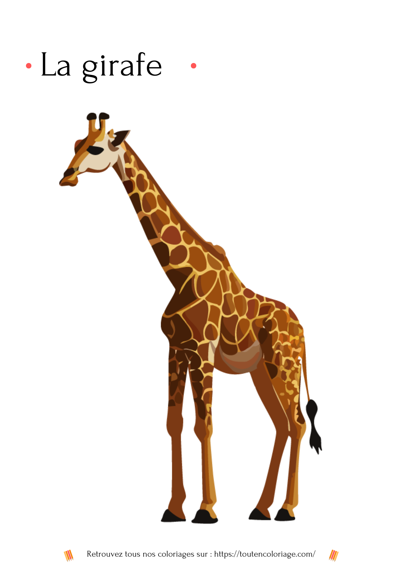 Dessin à colorier réaliste d'une girafe pour les fans de coloriage sur les animaux de la savane.