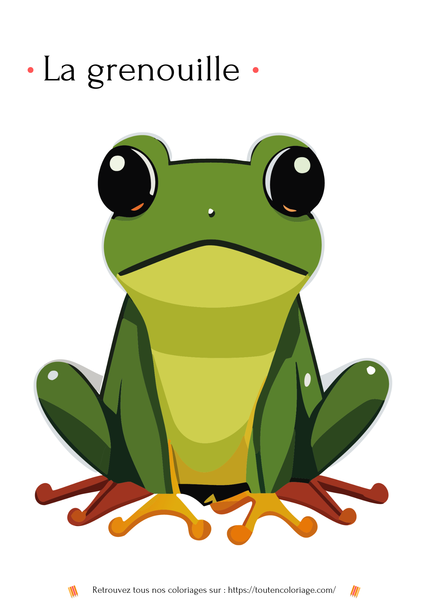 Dessin colorier d'une jolie petite grenouille verte a retrouver dans notre livre de coloriage sur les animaux de la forêt.