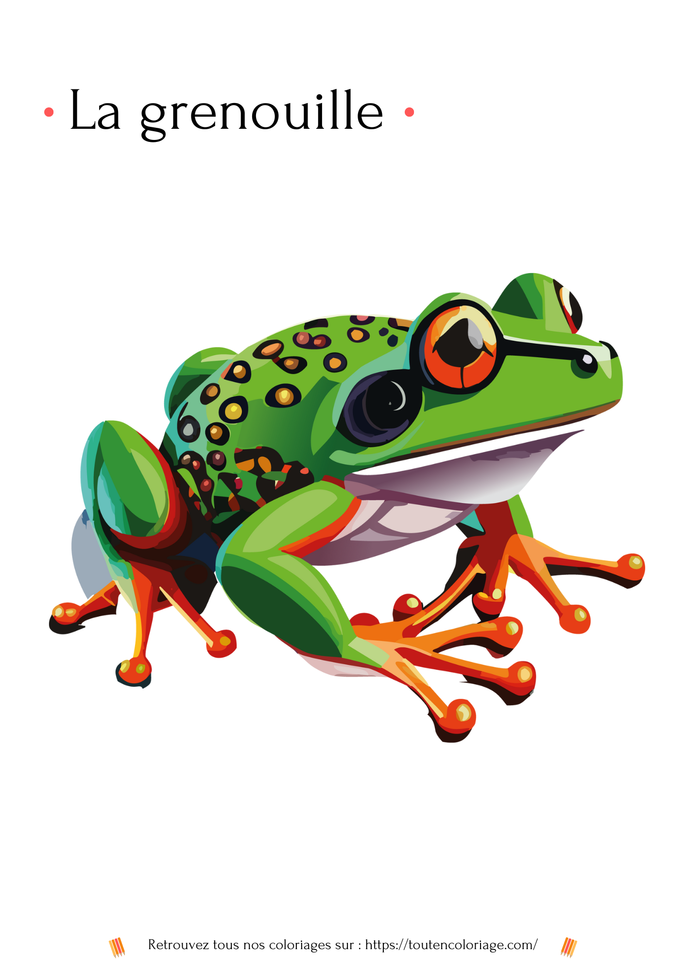 Dessin à colorier et imprimer d'une grenouille verte et orange