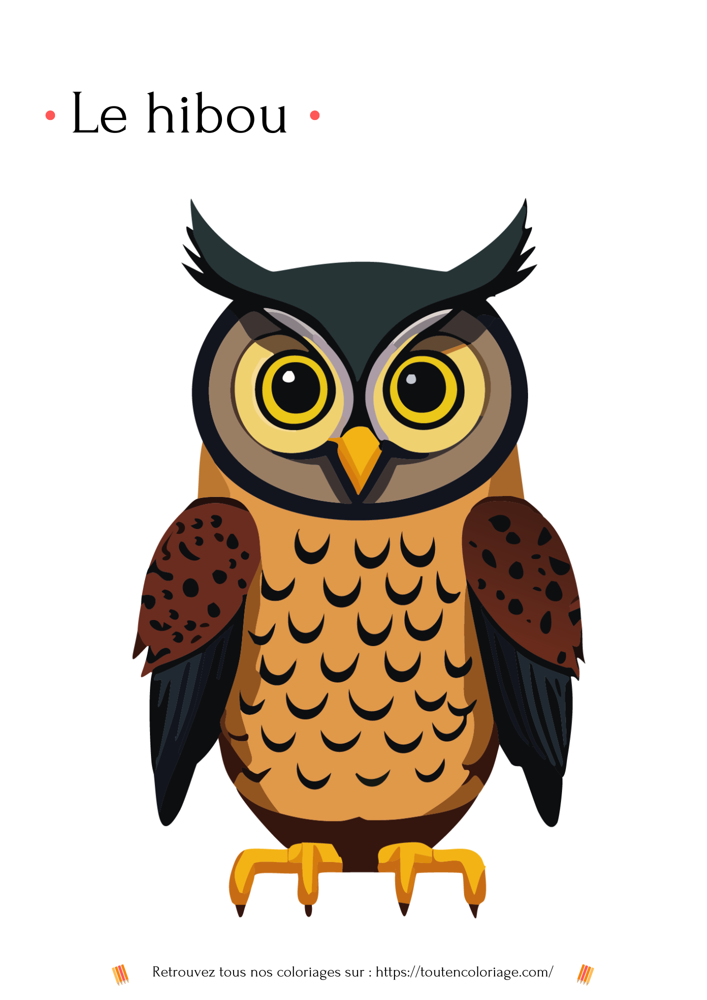 Dessin à colorier d'un magnifique Hibou à retrouver dans notre livre sur les animaux de la forêt.