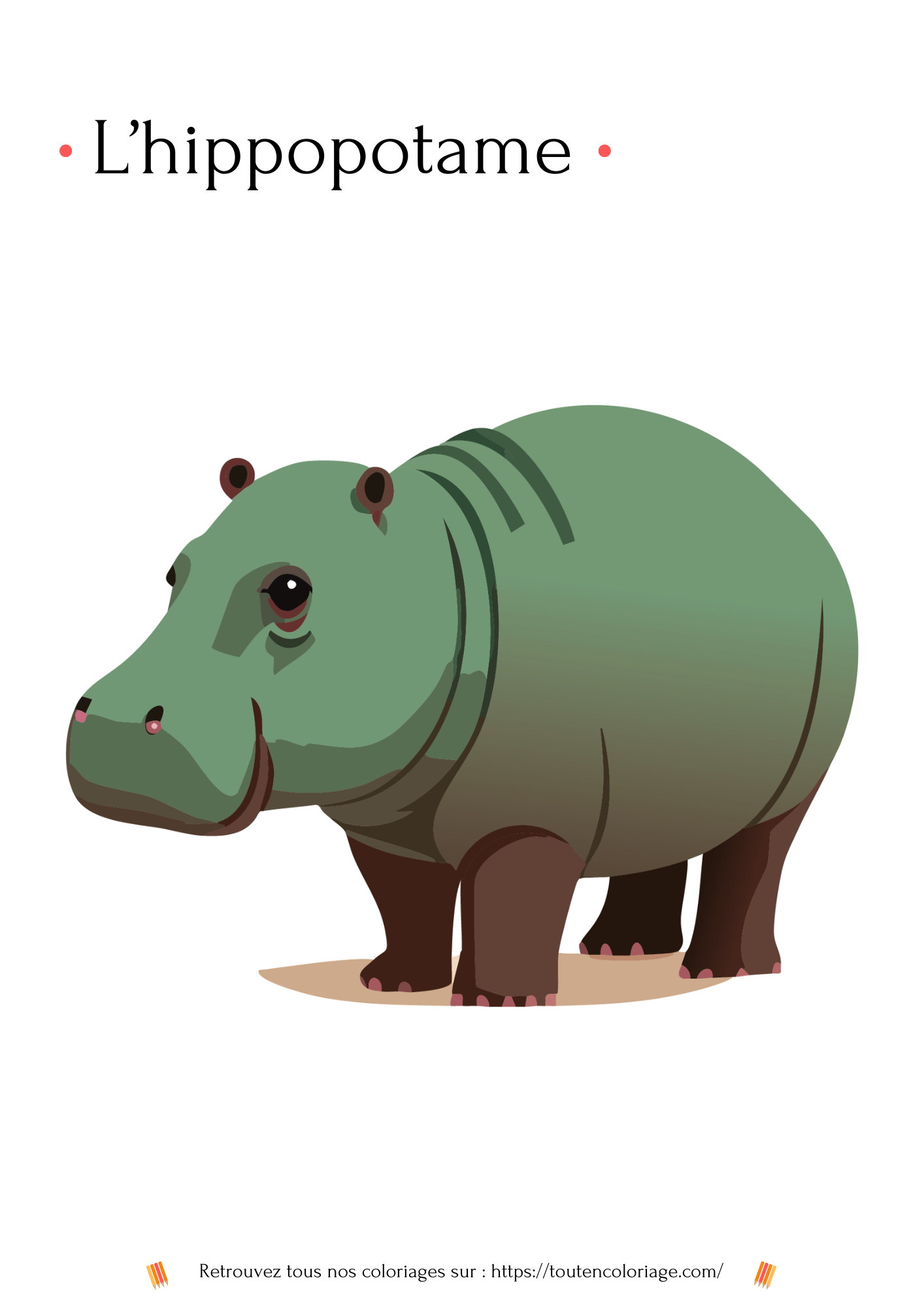 Dessin a colorier d'un superbe hippopotame vert et marron a retrouver dans notre livre sur les animaux de la savane