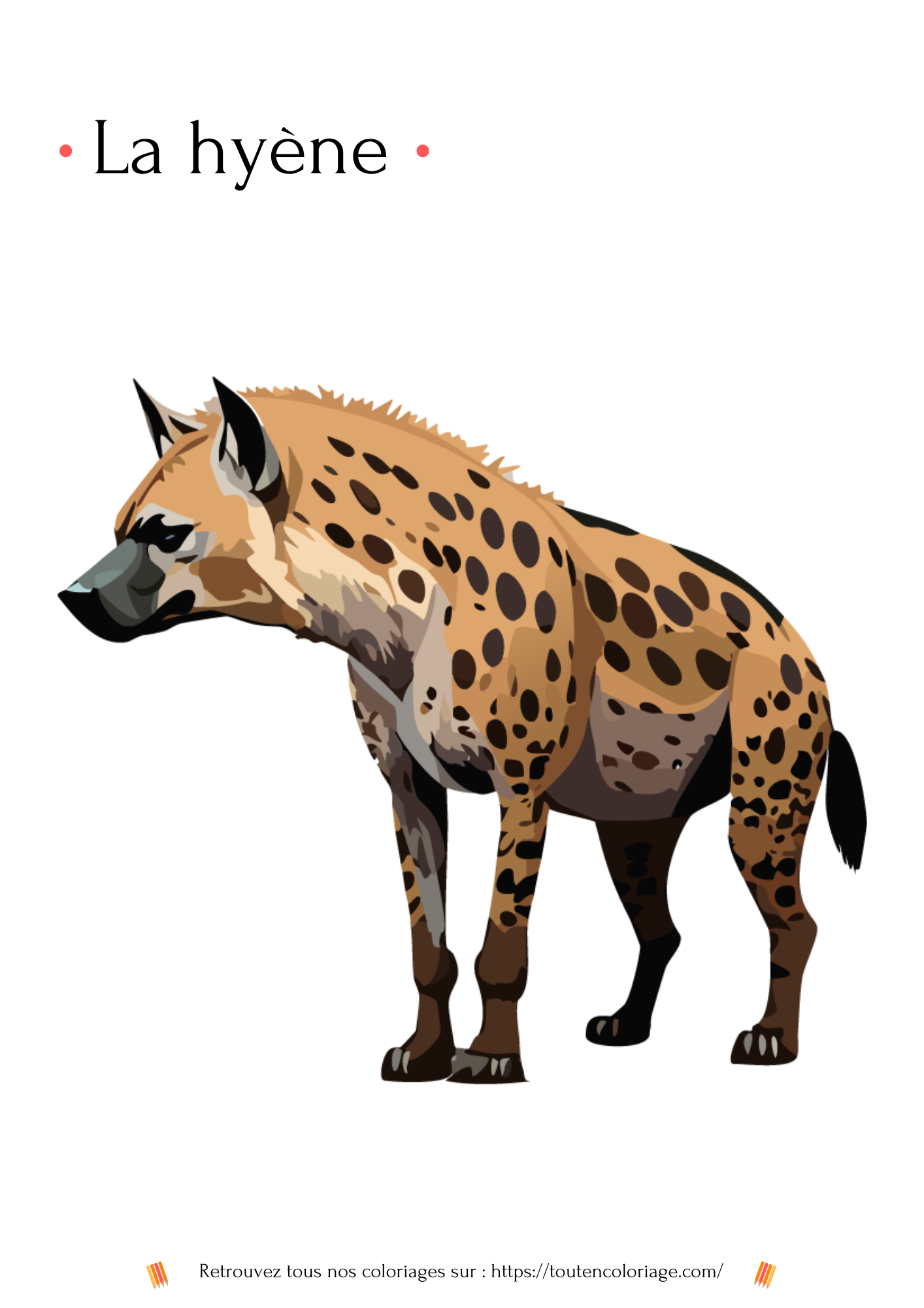 Dessin à colorier d'un Hyène pour les enfants à retrouver dans notre livre sur les animaux de la savane.