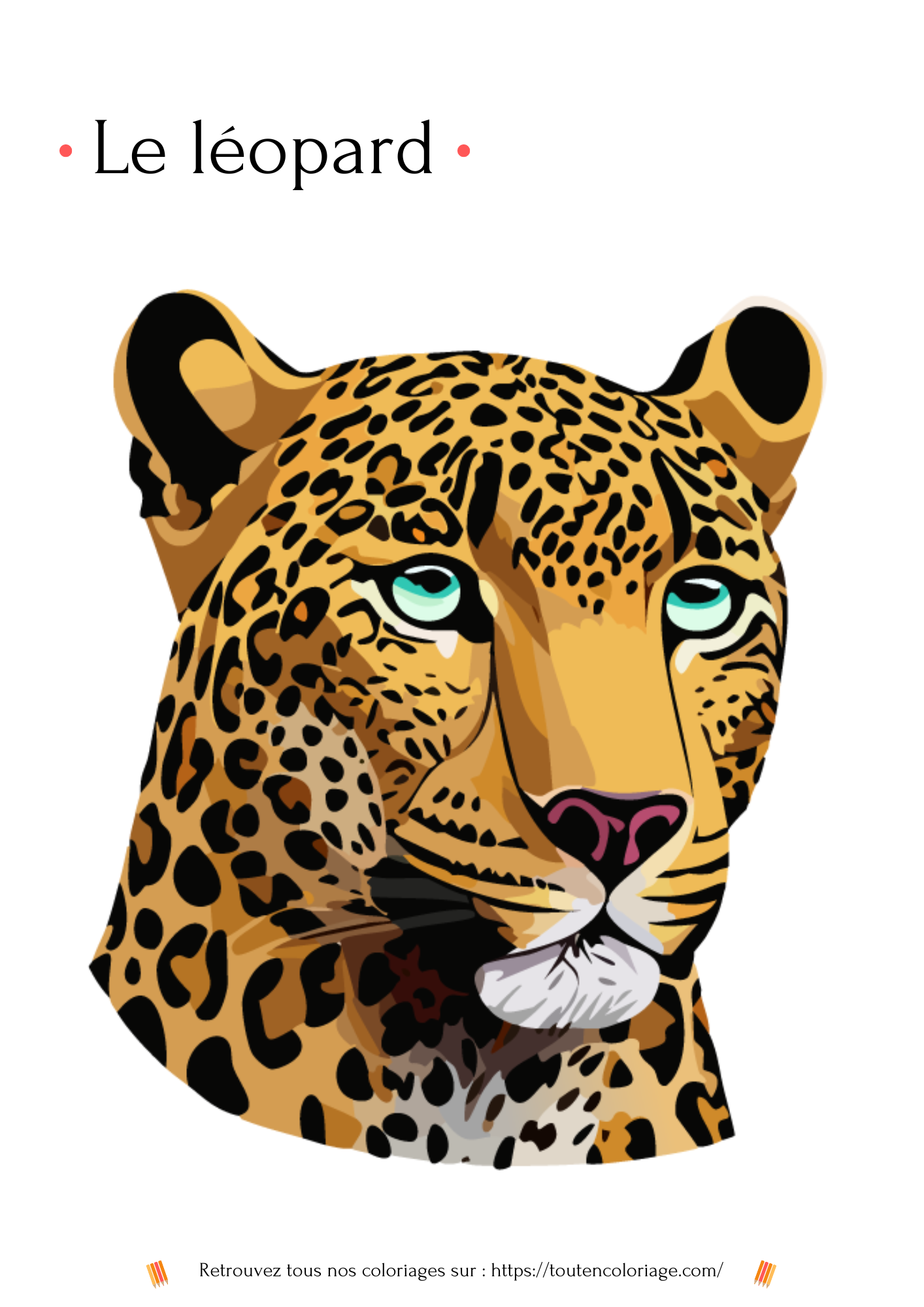 Coloriage a imprimer d'un superbe Léopard issu de notre livre sur les animaux de la savane.