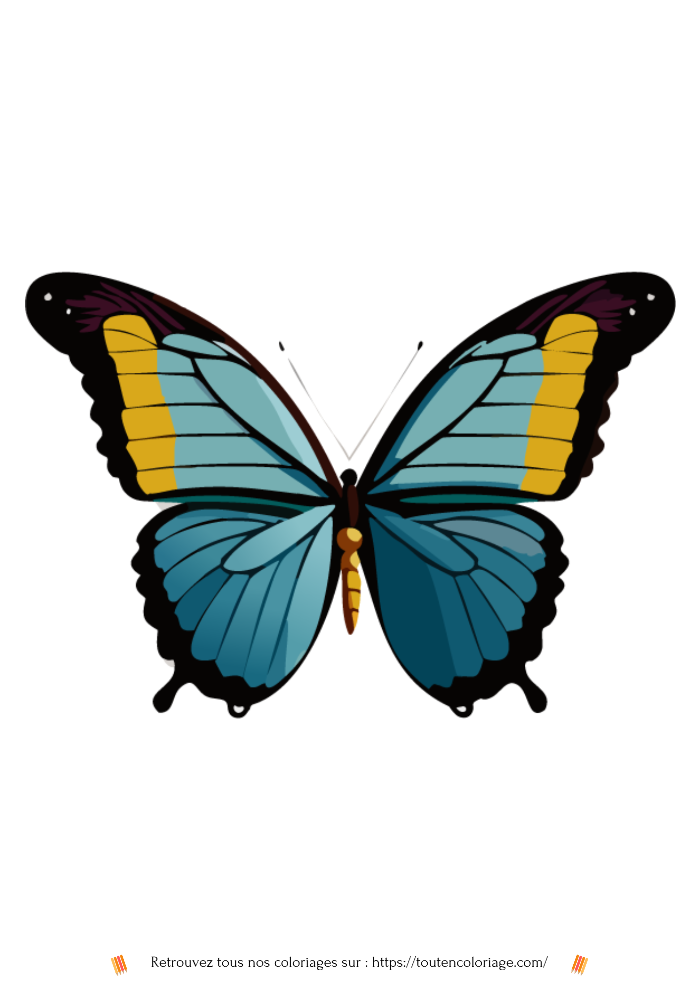Coloriage a imprimer d'un magnifique papillon aux ailes bleues et noires a retrouver dans notre livre sur les papillons