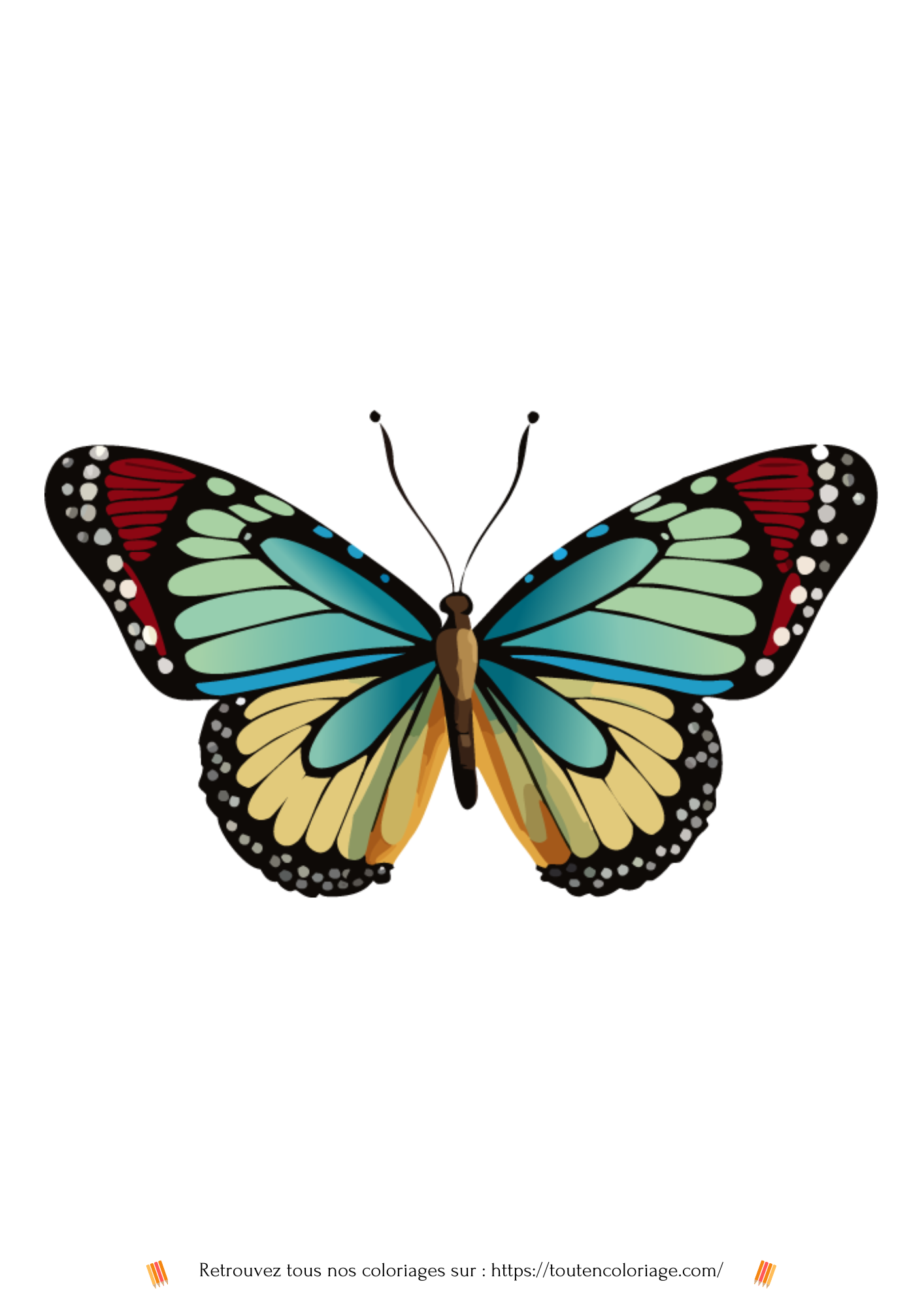 Dessin a colorier d'un magnifique papillon aux ailes bleues et rouges a retrouver dans notre livre sur les papillons
