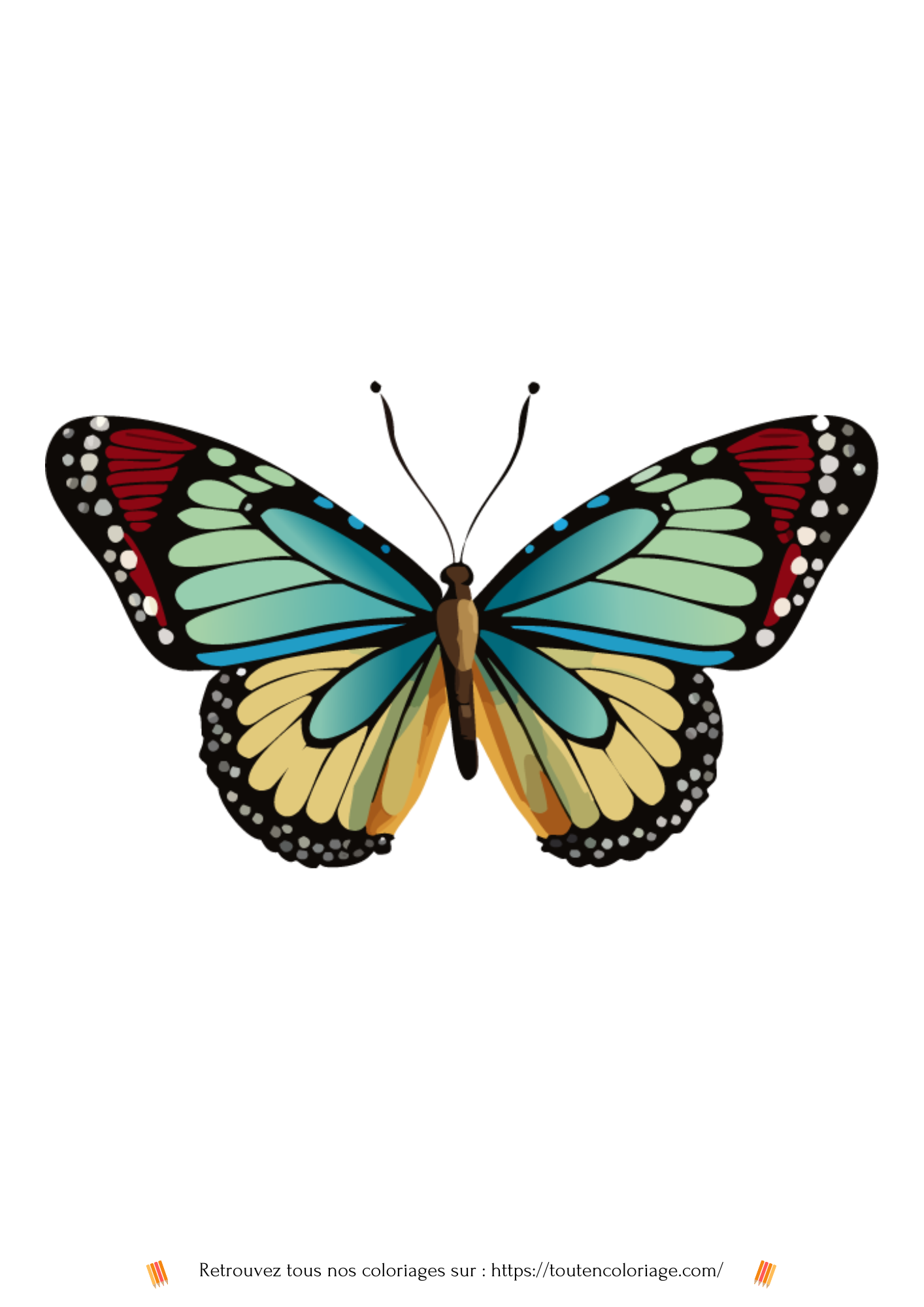 Coloriage a imprimer d'un papillon multicolores pour enfants et adultes débutants