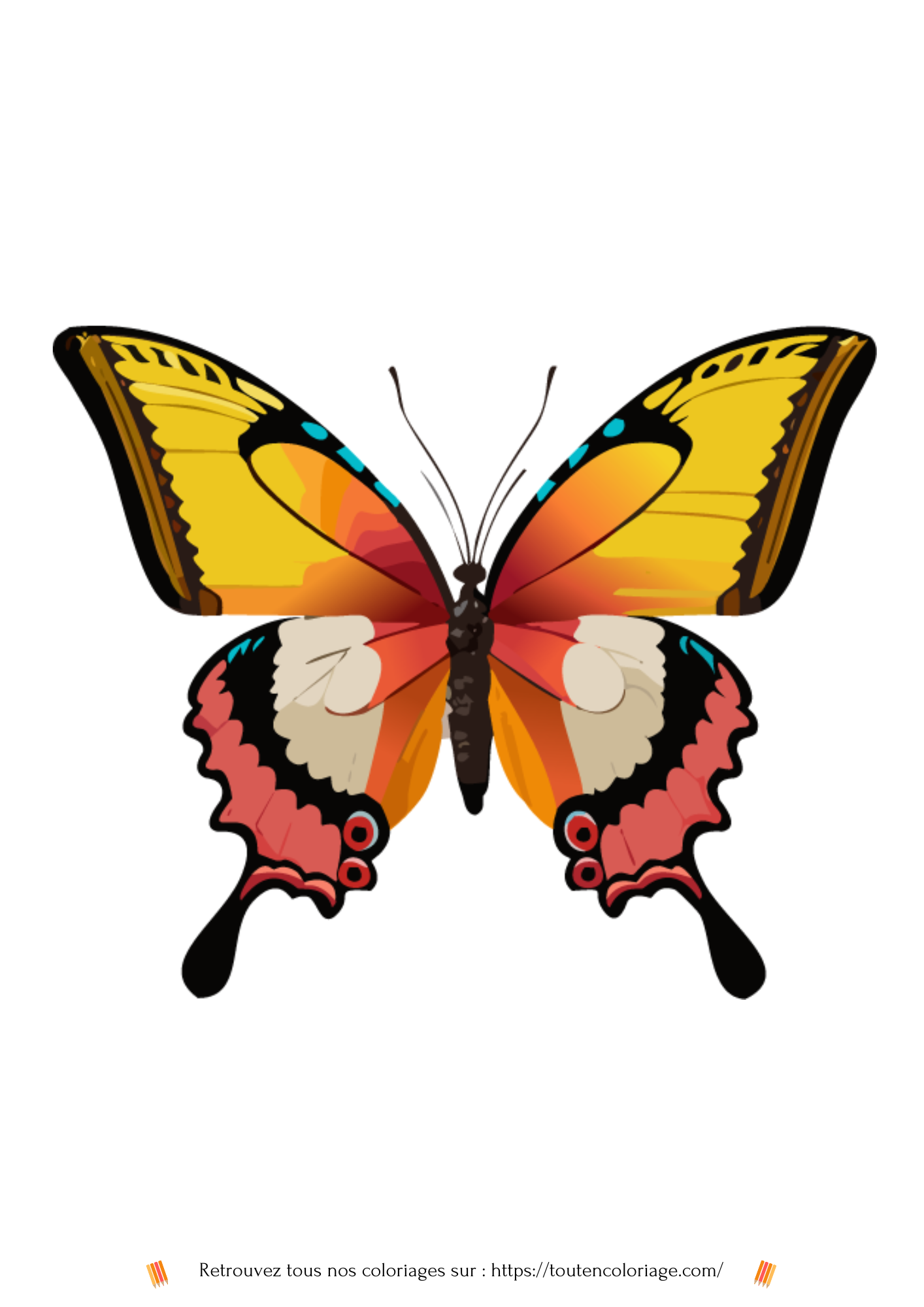 Coloriage à imprimer d'un magnifique papillon de couleurs Jaune et Rose.