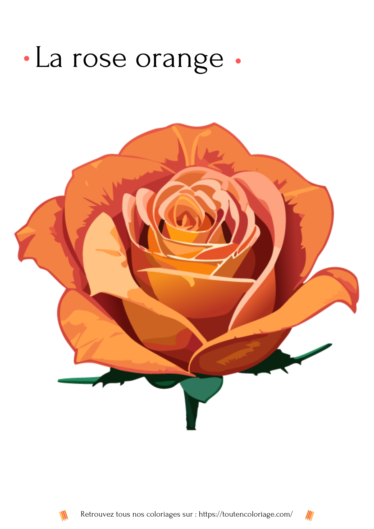 Coloriage a imprimer d'une Rose orangé pour les adultes et les enfants qui aiment les plantes et les fleurs.