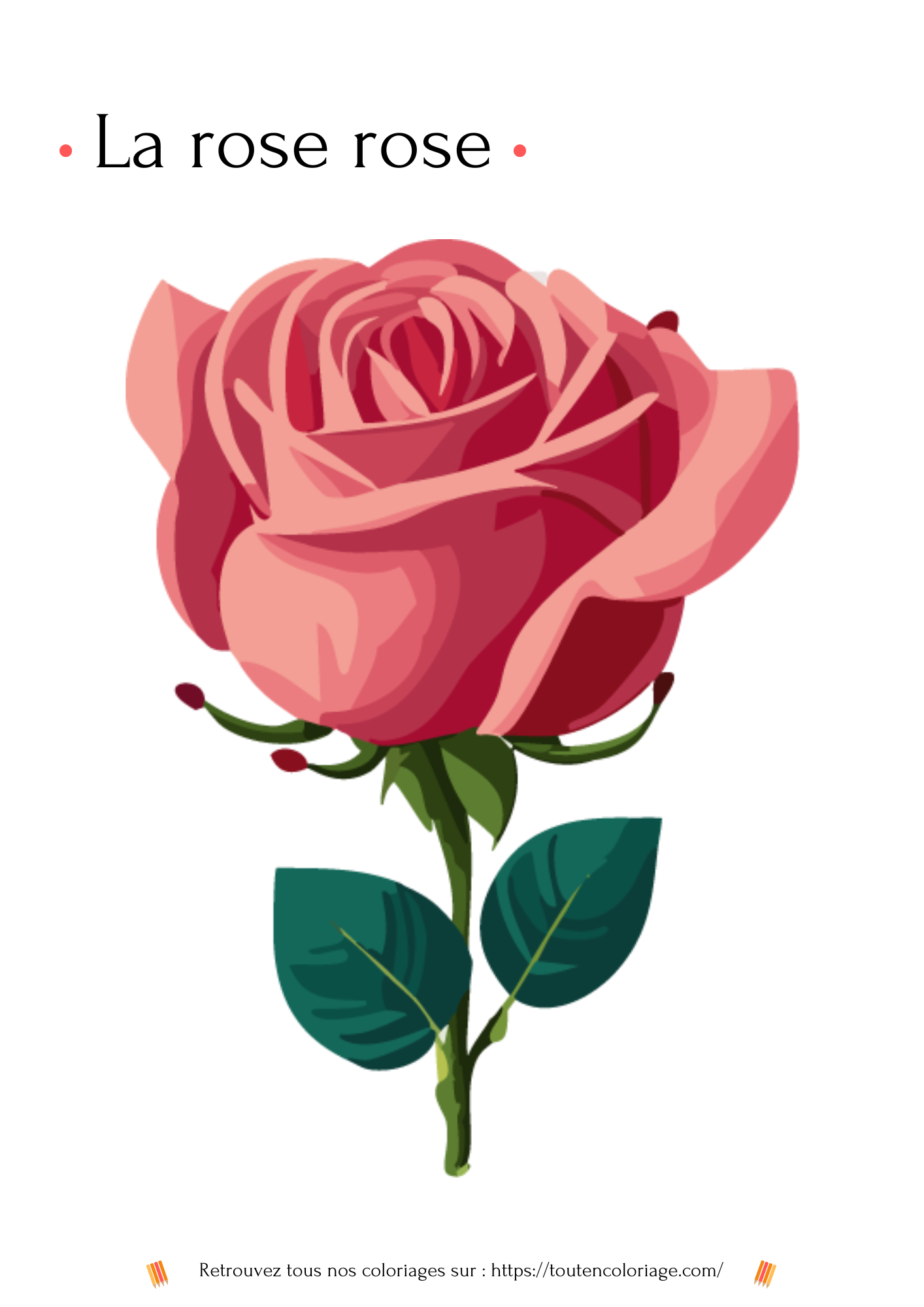 Coloriage à imprimer et à colorier d'une magnifique rose avec une tige et des feuilles verte.