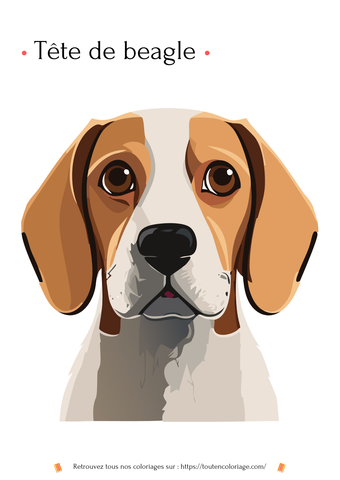 Dessin a colorier d'une magnifique tête de chien représentant un Beagle blanc et marron