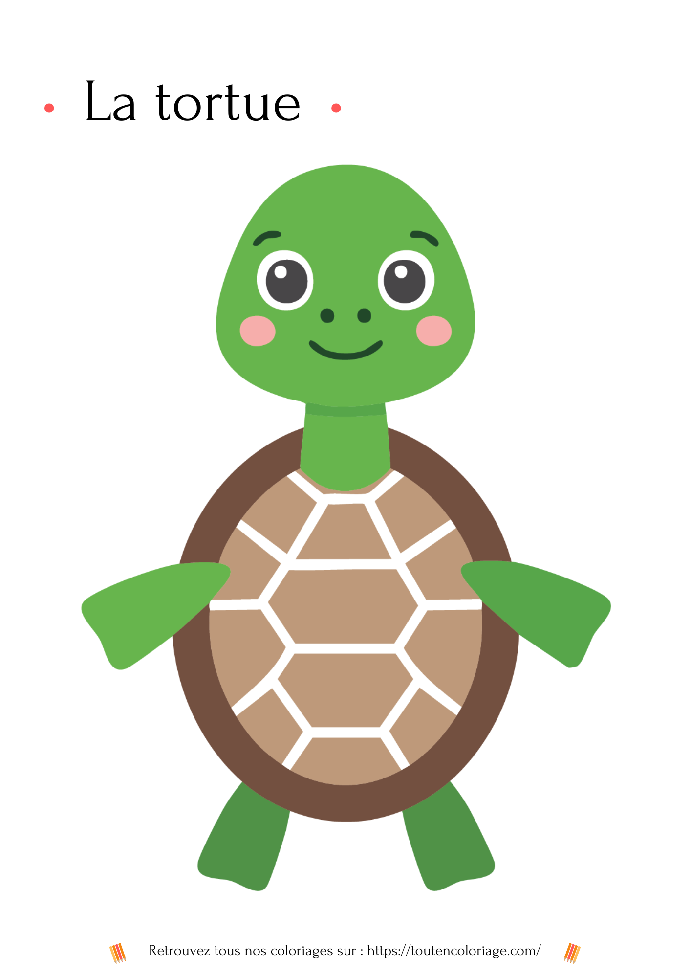 Image de coloriage d'une tortue vertes mignonne avec une carapace ornée de motifs doré.