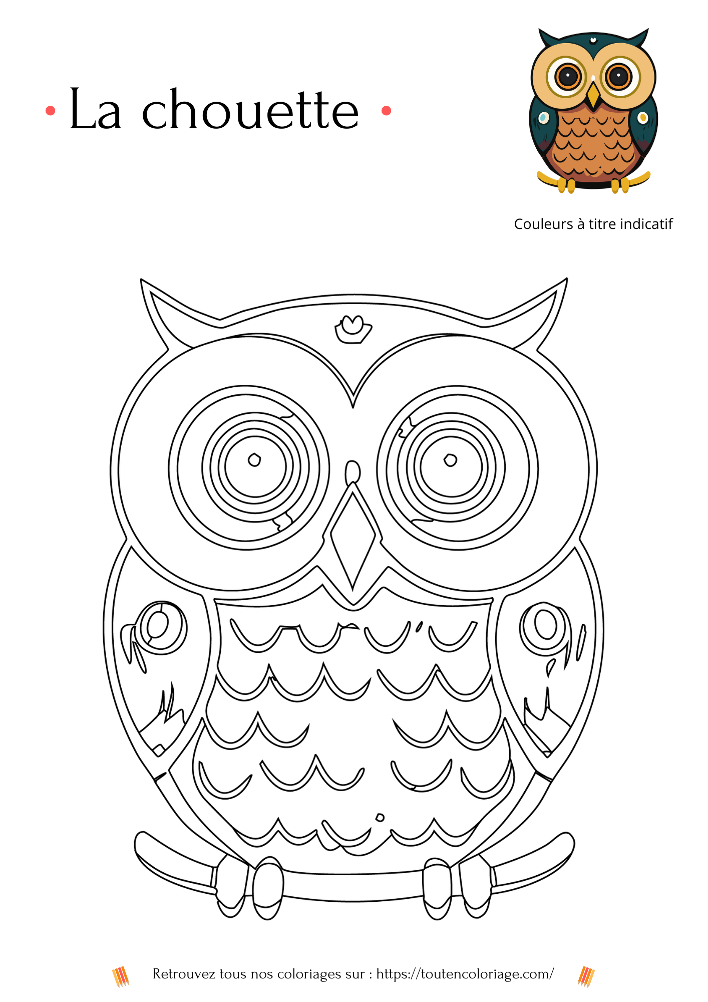 Coloriage a imprimer d'une chouette a retrouver dans notre livre sur les animaux de la foret