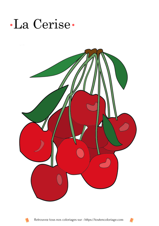 Coloriage à imprimer d'une belle cerise bien rouge