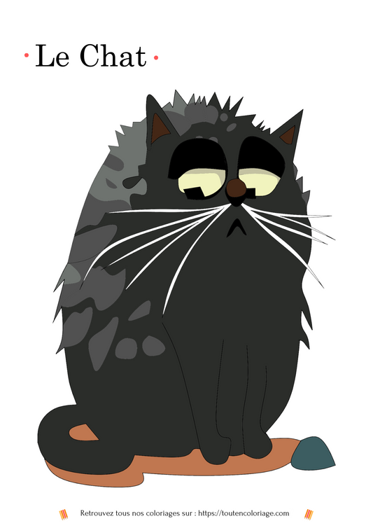 Chat gris assis sur ses pattes arrière, regard attentif, posture mignonne et relaxée