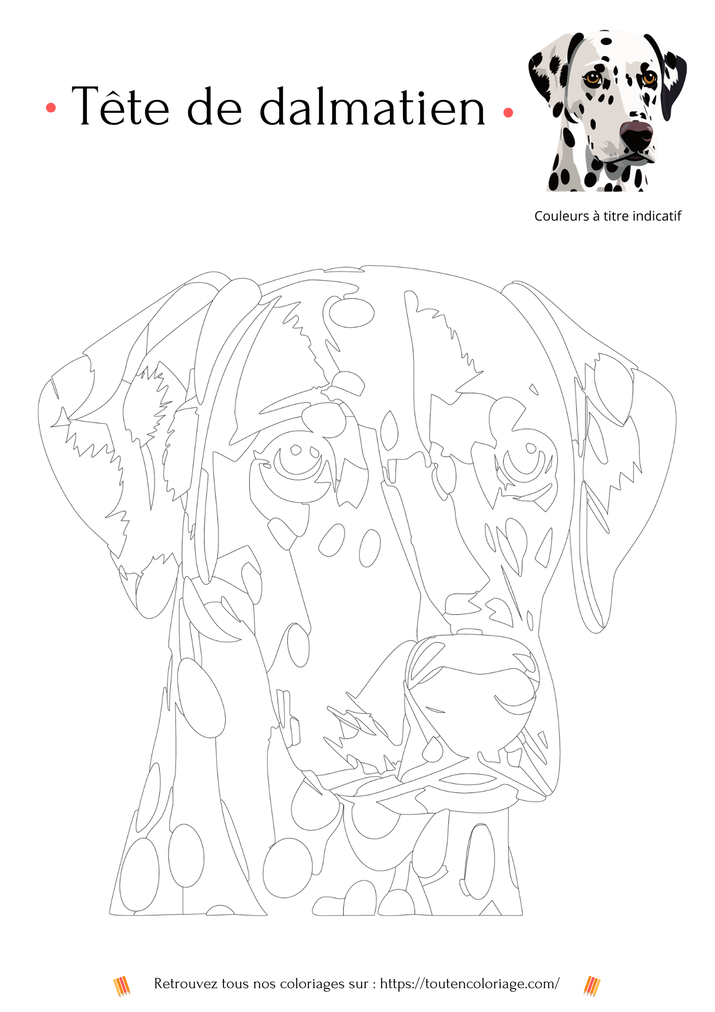 Coloriage a imprimer d'une jolie tête de Dalmatien avec ses taches noires et blanches