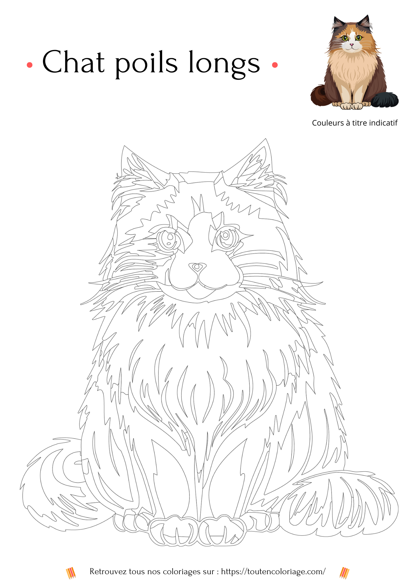 Coloriage à imprimer d'un magnifique chat à poils longs marron et beige ressemblant a un Main Coon.