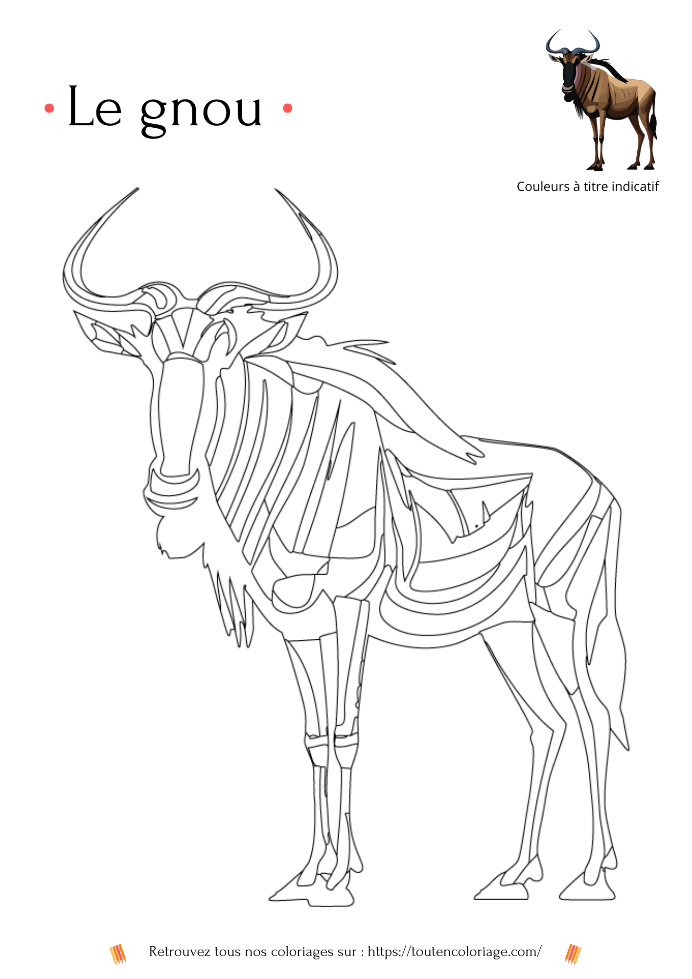Coloriage a imprimer d'un superbe Gnou avec deux magnifiques cornes noires a retrouver dans notre livre sur les animaux de la savane.