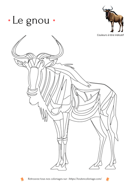 Coloriage a imprimer d'un superbe Gnou avec deux magnifiques cornes noires a retrouver dans notre livre sur les animaux de la savane.