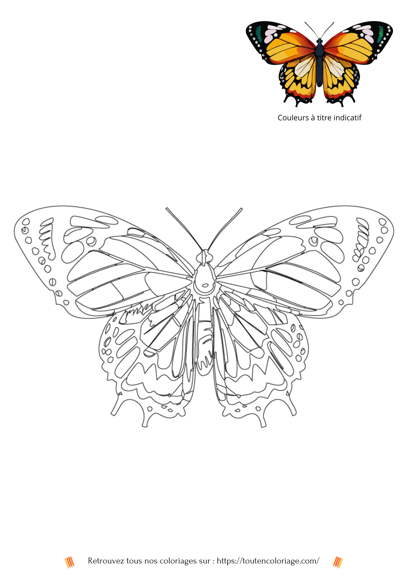 Dessin a colorier d'un magnifique papillon aux ailes oranges et blanches a retrouver dans notre livre sur les papillons.