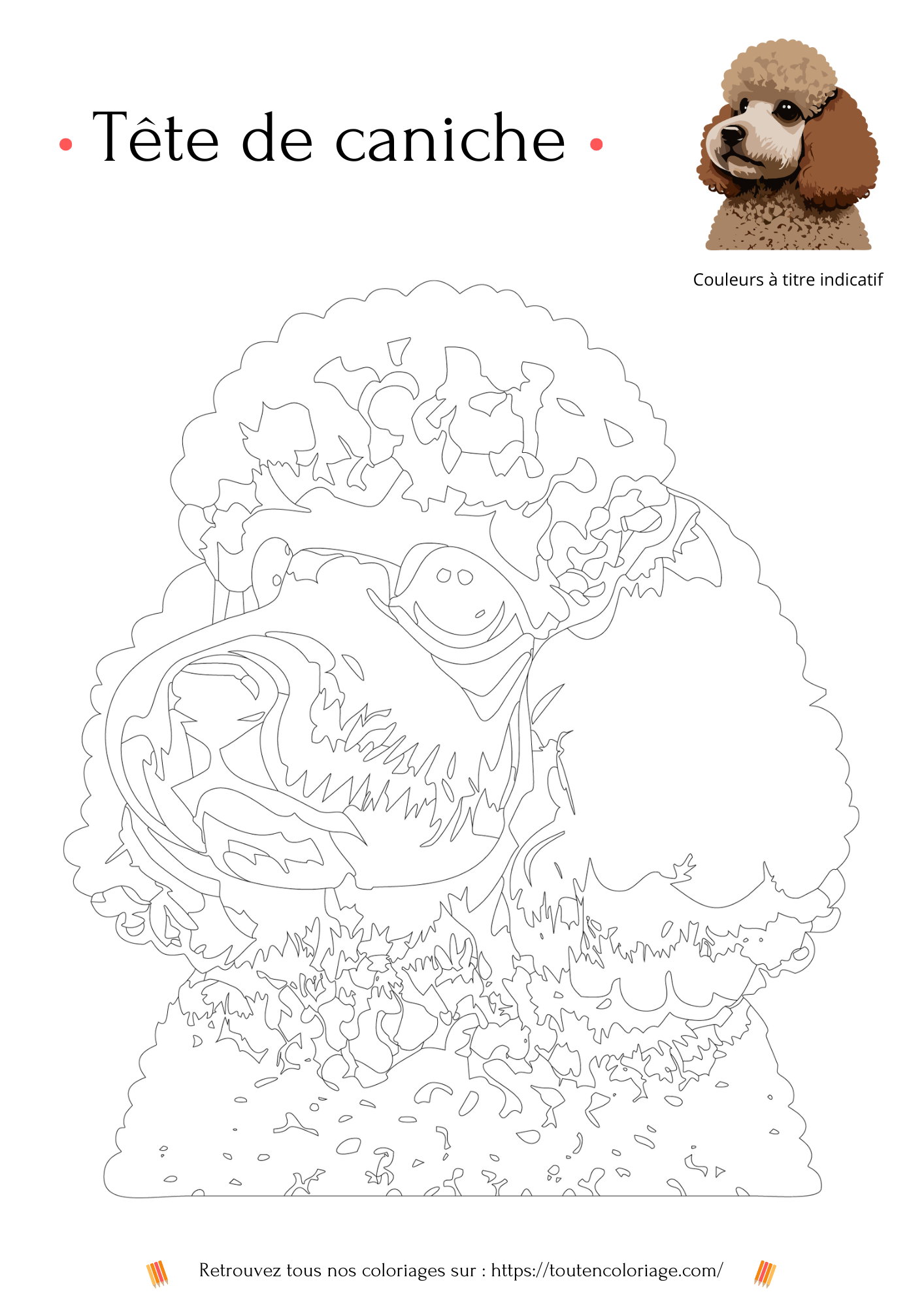 Coloriage à imprimer d'une toute douce et moutonneuse tête de caniche marron et beige.