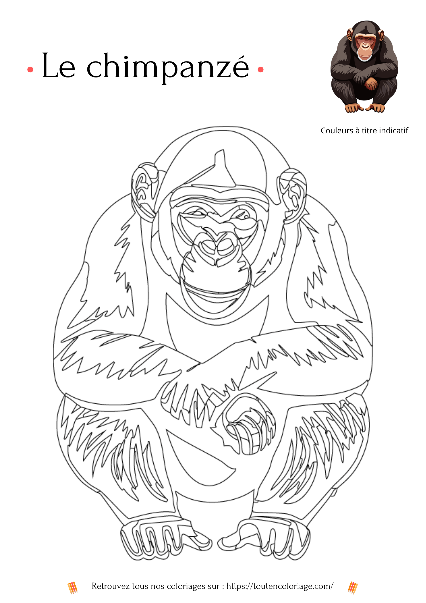 Coloriage a imprimer d'un très beau Chimpanzé assis sur ses fesses issue de notre livre sur les animaux de la savane.