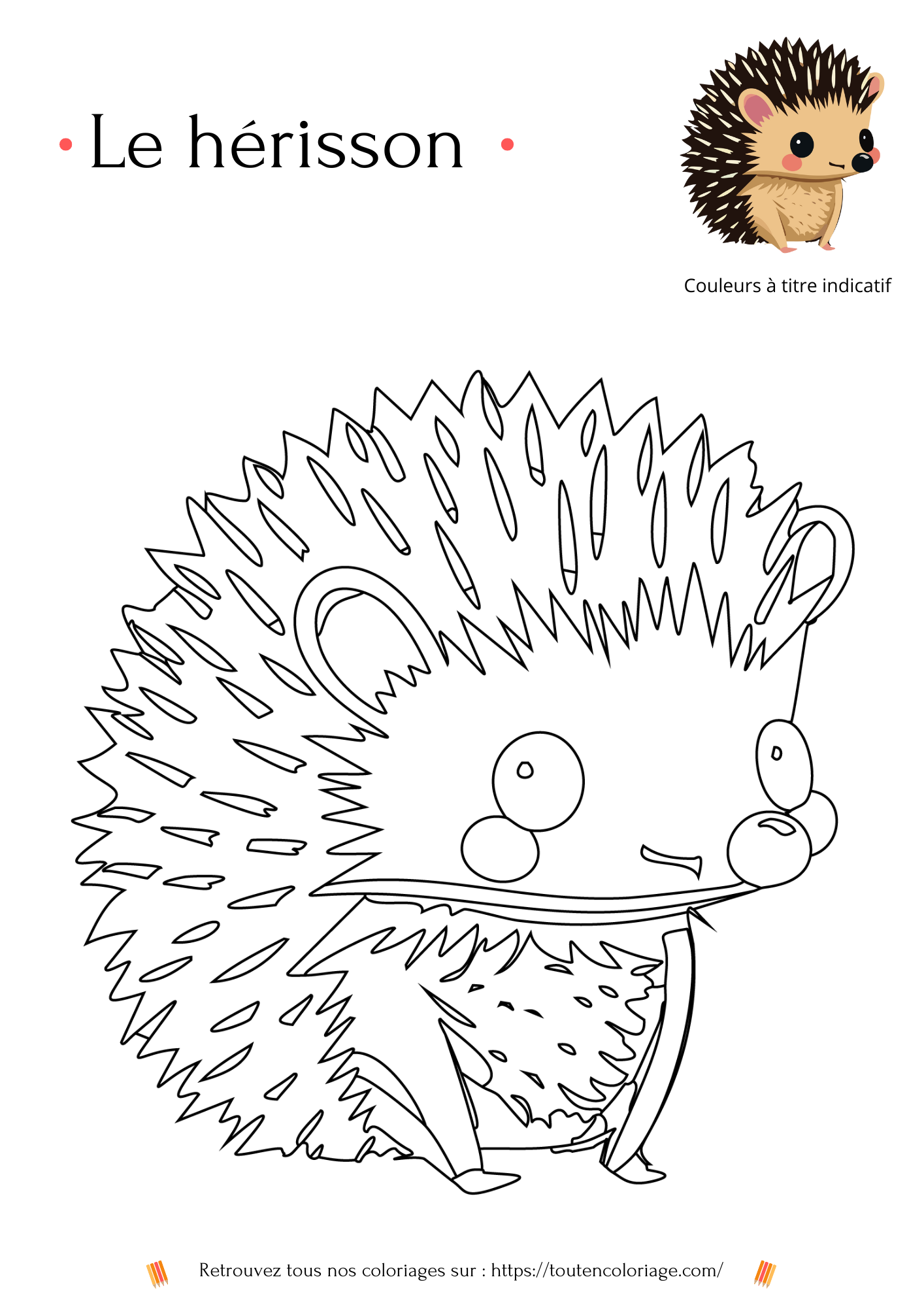 Dessin a colorier d'un hérisson  marron a retrouver dans notre livre sur les animaux de la foret