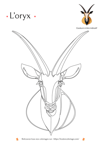 Dessin a colorier d'un Oryx pour enfants et adultes de tout âges a retrouver dans notre livre sur les animaux de la savane 
