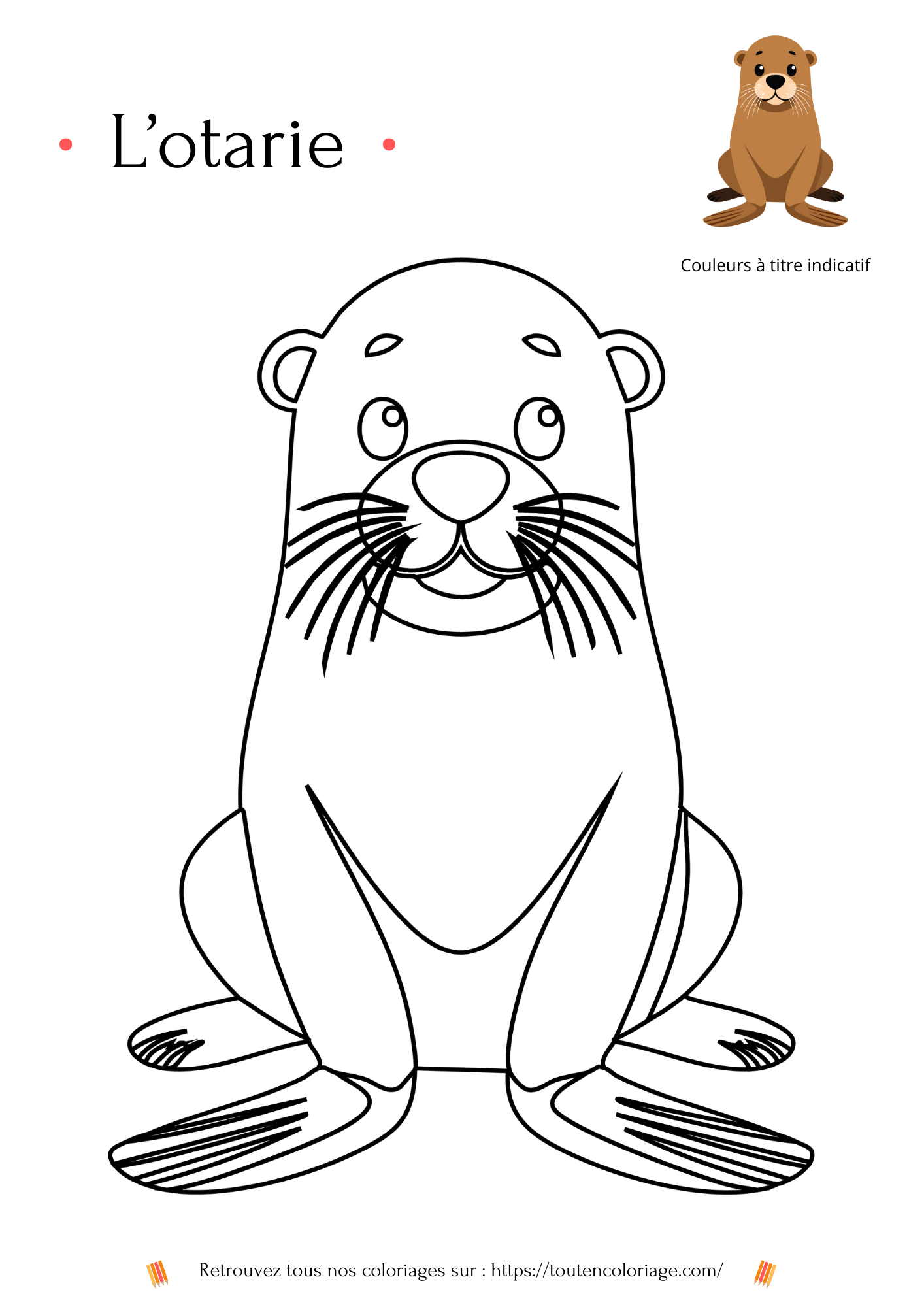 Dessin à colorier et à imprimer facile pour enfant d'une superbe Otarie