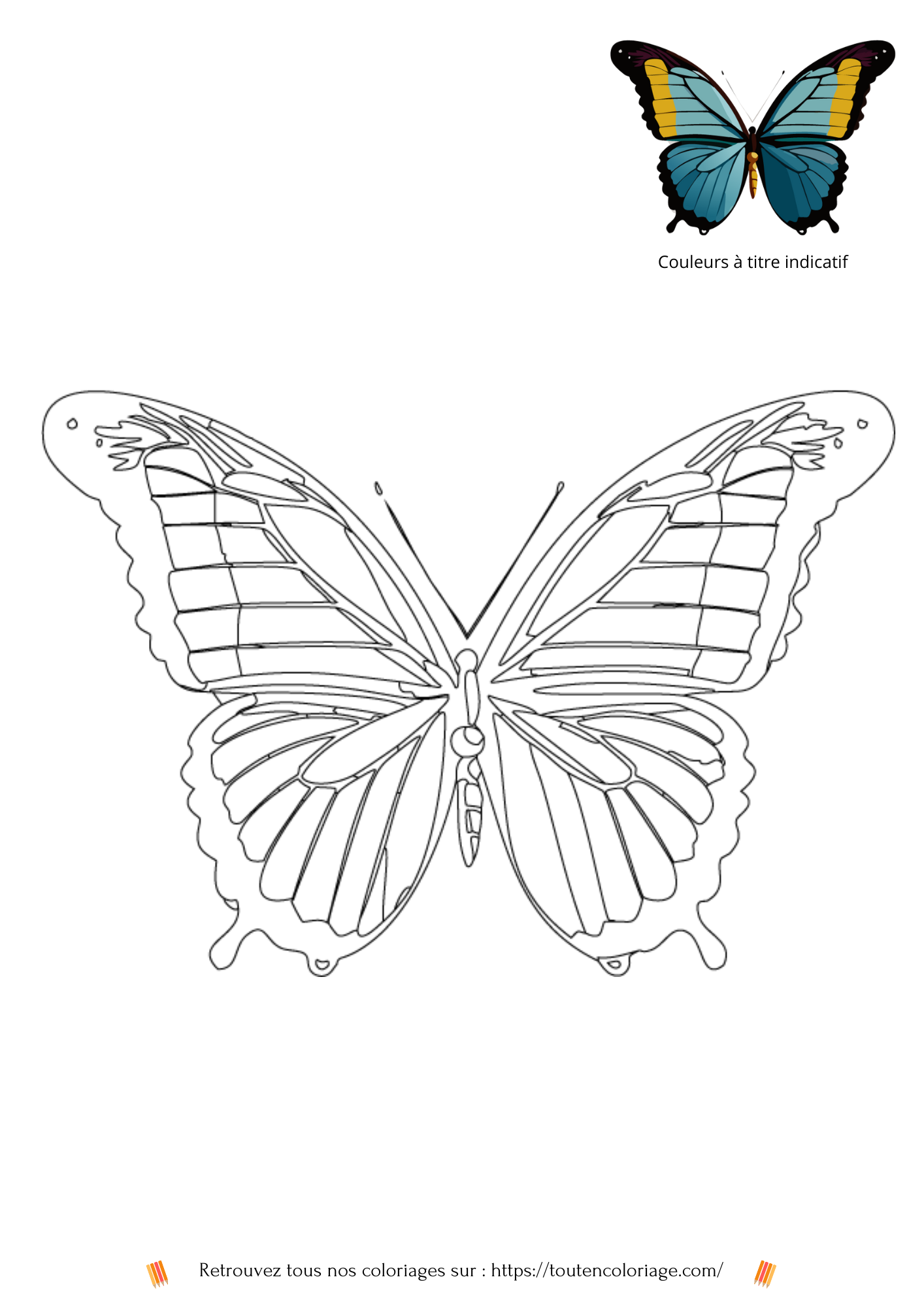Dessin à imprimer d'un magnifique papillon aux ailes bleues et noires a retrouver dans notre livre sur les papillons