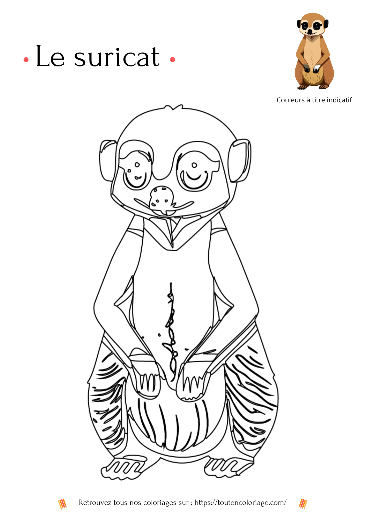 Coloriage à imprimer d'un Suricate de couleurs beige et marron a retrouver dans notre livre sur les animaux de la savane